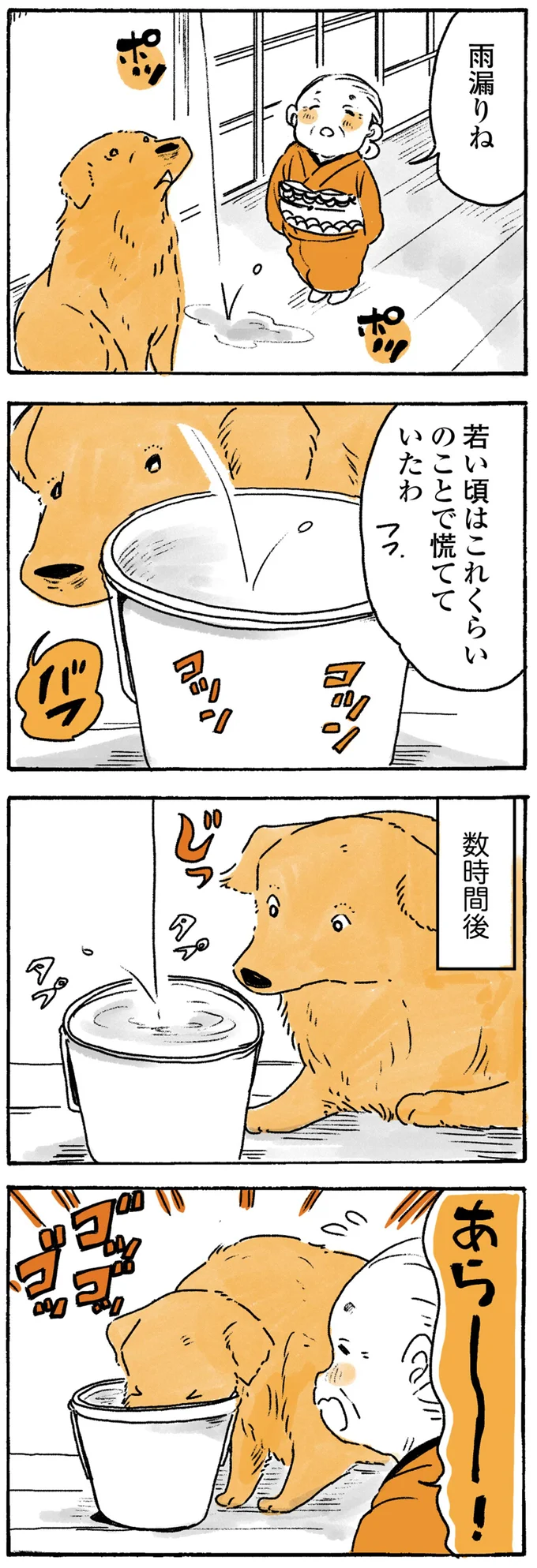 おばあちゃんと大型犬のほっこりライフ。雨の日はいろいろあるようで...／姫ばあちゃんとナイト 82.png