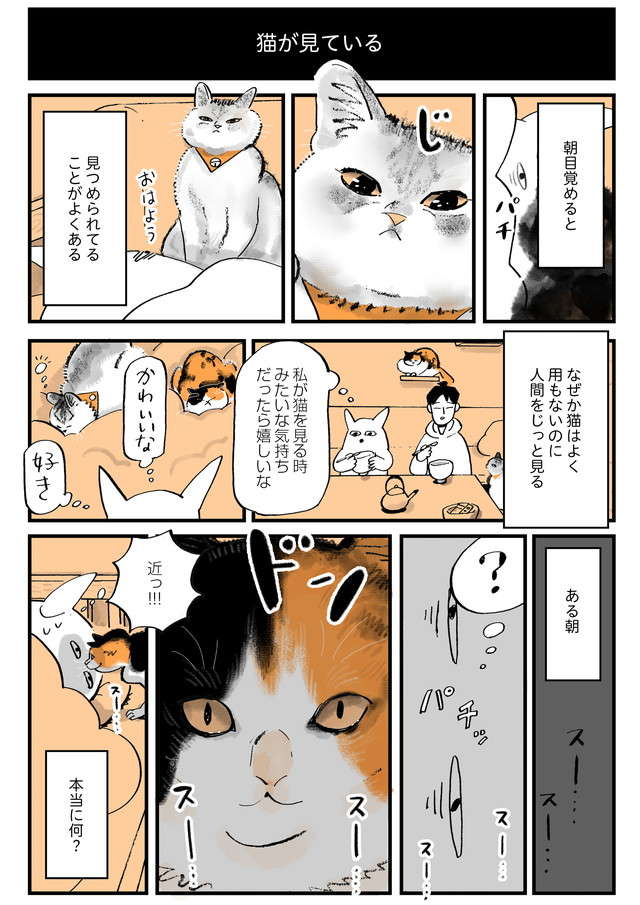 「痛いけど幸せ～」撫でると時々舐め返してくれる愛猫。でも嫌な時もある!? ／うちの猫は仲が悪い 888943ab24347374fb86ffa27db80569.jpg