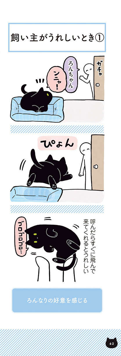 ブラッシングが好きな愛猫。でも、仕上げの「これ」だけは苦手で...!?／黒猫ろんと暮らしたら2 21.jpg