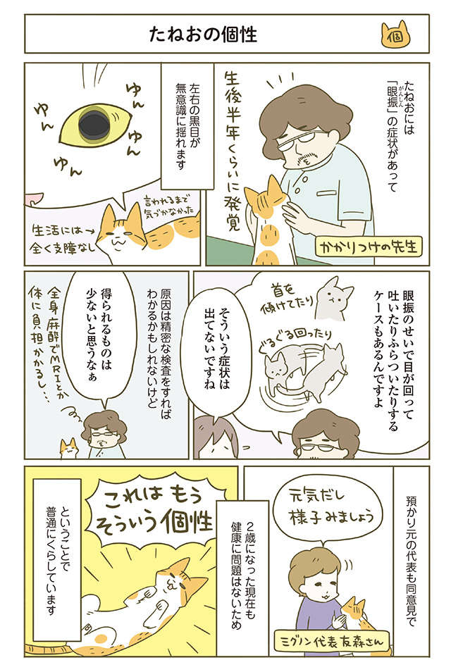 預かり猫が我が家へ！ 先住猫たちは...「どういう感情？」／うちの猫がまた変なことしてる。4 1.jpg