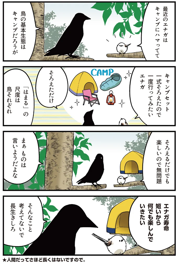 「寿命が短いから楽しみたい」シマエナガの発言にカラスがクールに一言／永久機関シマエナガ 12.png