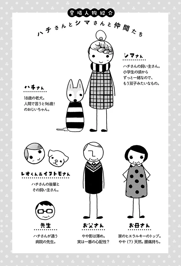 16歳でも元気いっぱいだった柴犬。ところがある日突然.../96歳の柴犬ハチさんは、今日もお散歩しています。 11.webp