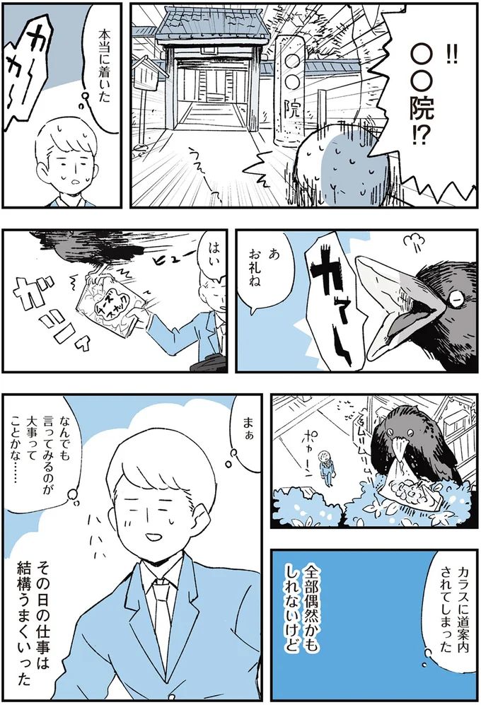 「ついて来いって言ってるのか？」道に迷い、カラスにSOSしてみたら...／動物たちが残した25個の不思議なメッセージ 02-04.png