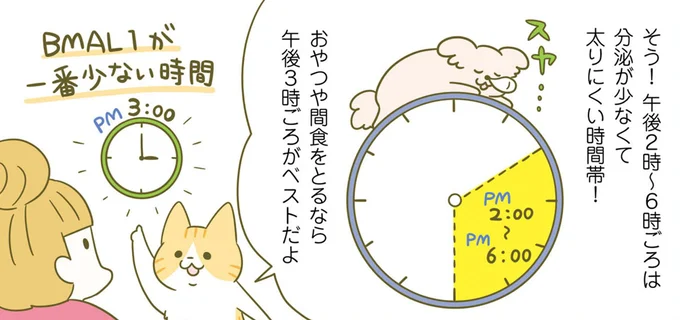 体を太らせるBMLA1が増える夜10時から早朝3時。この時間の食事にはご用心／ネコちゃんのゆるゆるダイエット塾