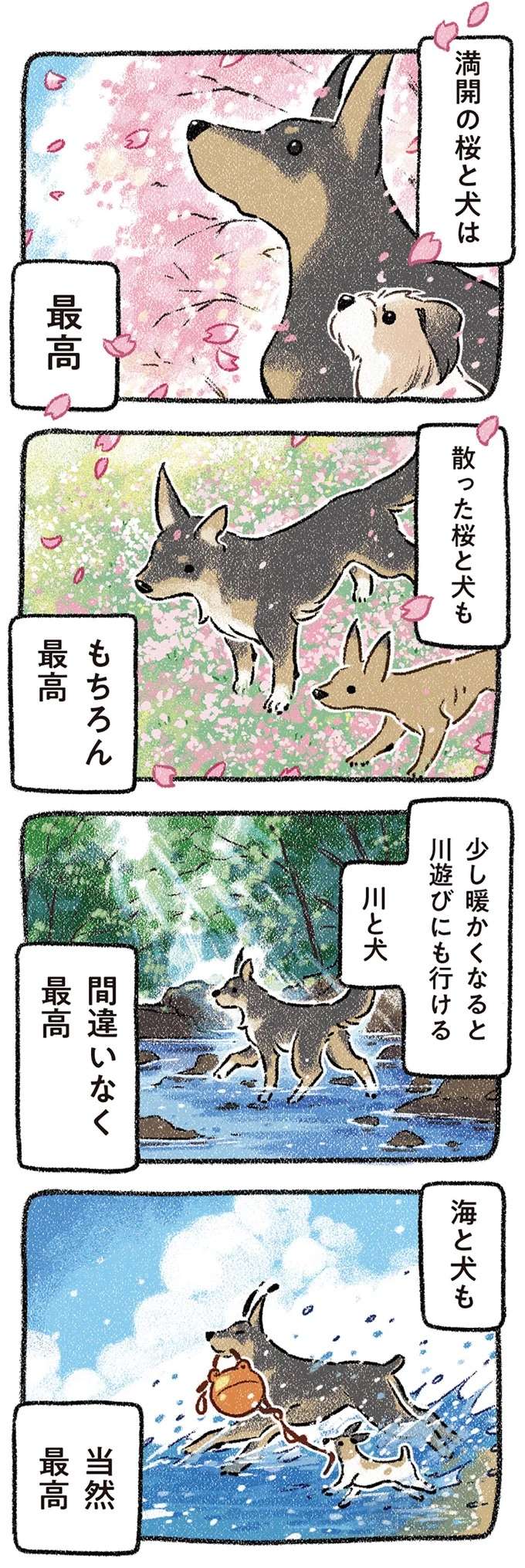 晴れの日でも雨の日でも、どこへ行っても...愛犬と一緒ならいつも最高！／ドベとノラ2 dobetonora17_3.jpeg