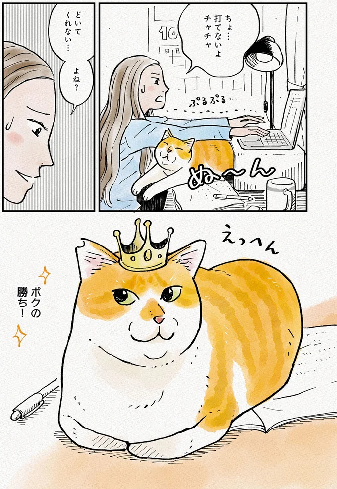 『元野良猫チャチャ 本日も見まわり中』 07-05.png