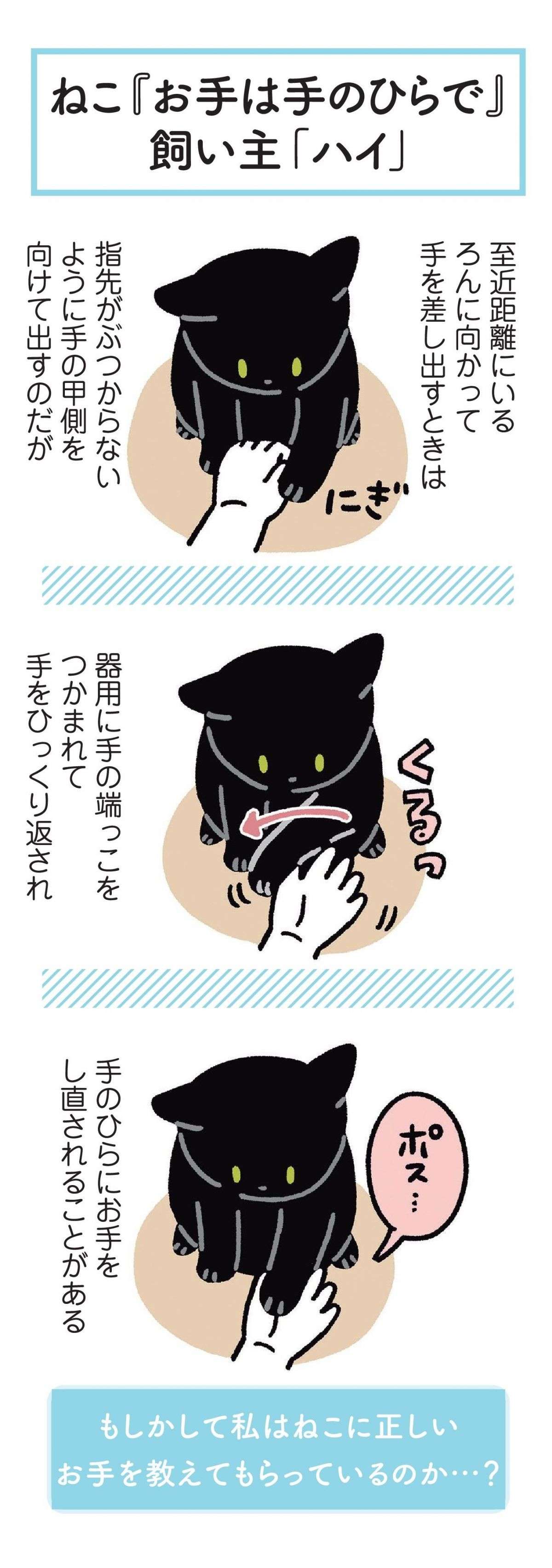 猫の爪を切ろうとしたらブルブル震え...その姿はまるで「あれ」にそっくり／黒猫ろんと暮らしたら 12.jpg