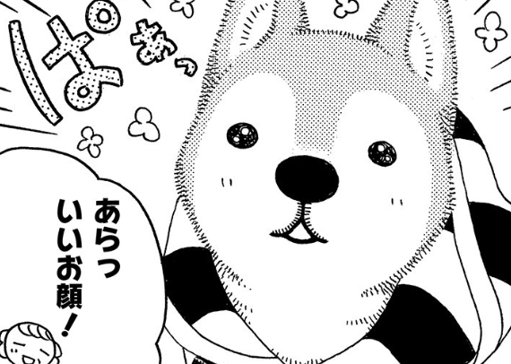 愛犬が久々に会った散歩仲間と再会。老いても忘れない記憶／じじ柴ハチさんは、今日も生きています。