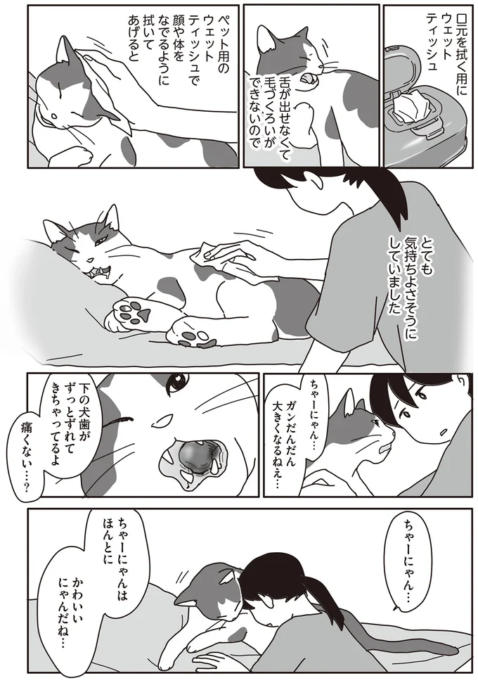 『世界一幸せな飼い主にしてくれた猫』 14-05.png
