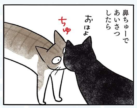 猫同士の「鼻ちゅー」で何が起きた？ そしてにらみ合いに...／黒猫ナノとキジシロ猫きなこ kuroneko_nano14-1.jpg