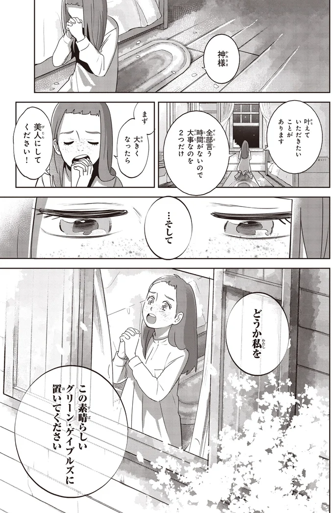 『アン・シャーリー 1』 78.webp