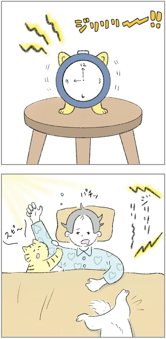 早起きが苦手なわが家の猫＆犬。そこで猫が早起きに挑戦したら...／元ノラ猫と元保護犬、ふたりは親友 07-01.png