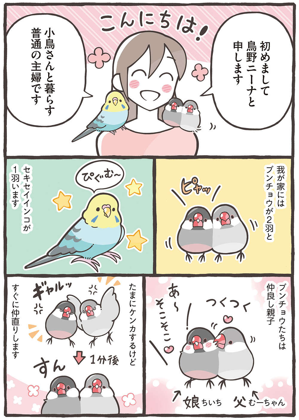 モフモフボディに悩殺上目遣い...癒しの鳥さんたち。お迎えしたいと思ったら／トリ扱い説明書 繝医Μ謇ｱ縺・ｪｬ譏取嶌_繝槭Φ繧ｫ繧咏判蜒・繝医Μ謇ｱ縺・ｪｬ譏取嶌_004.jpg