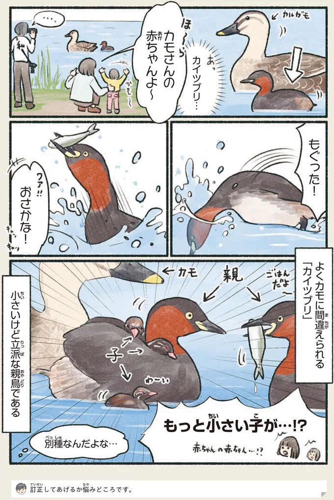 「訂正してあげるか悩みどころ...」実は立派な大人なこの鳥／意外と知らない鳥の生活 1.png