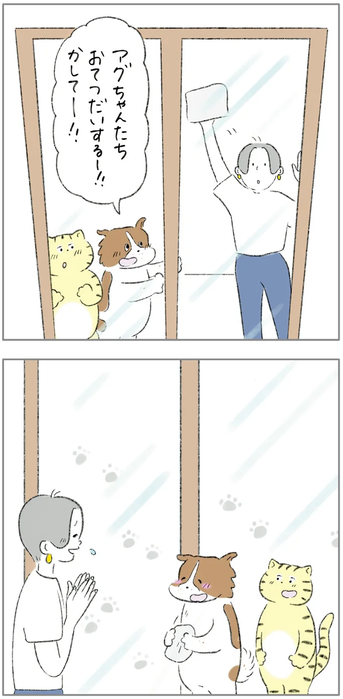 『ターとアグのしあわせ日和 元ノラ猫と元保護犬、ふたりは親友』 03-08.png