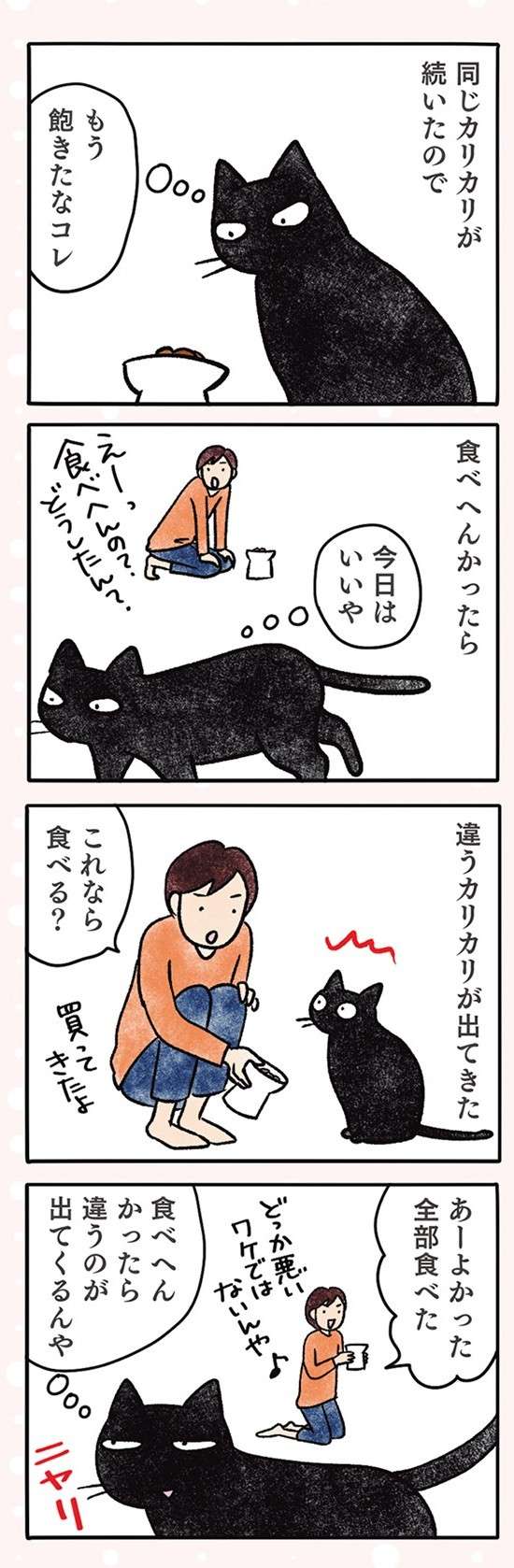 ニヤリ。猫が同じカリカリに飽きて「気付いたこと」／黒猫ナノとキジシロ猫きなこ kuroneko_nano6-6.jpg