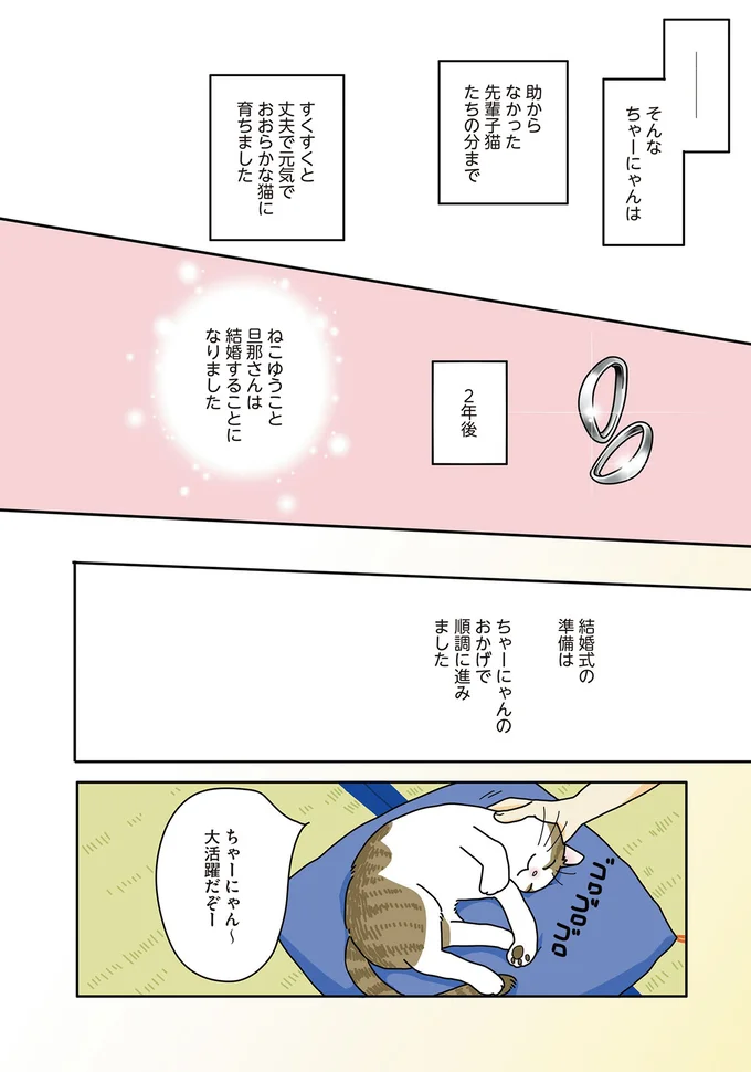 『世界一幸せな飼い主にしてくれた猫』 03-01.png