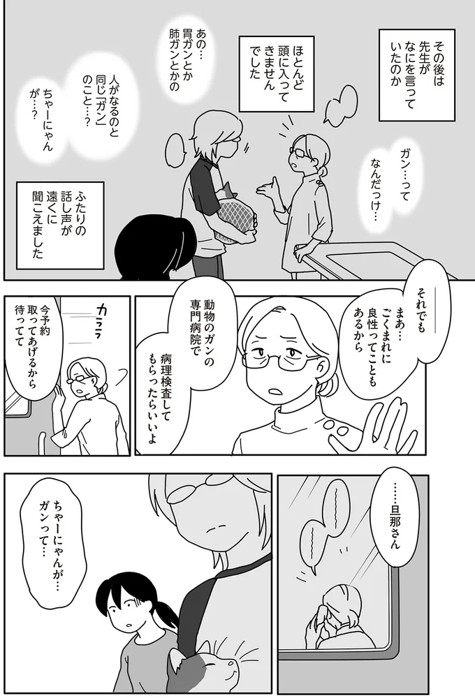 「泣いちゃダメだ」愛する猫に下されたガンの診断。涙をこらえることができず...／世界一幸せな飼い主にしてくれた猫 07-03.png