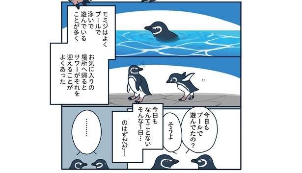 飼育員は見た!! 「帰宅すると目の前で...」恋の修羅場か!? ペンギンたちの愛の記録マンガ 30流血！すみだ水族館で恋の修羅場「下町ペンギン物語」第三話4.jpg