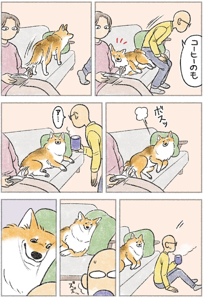 『犬を揉む　-ぺちょら... ときどき 帰宅拒否-』 102.webp