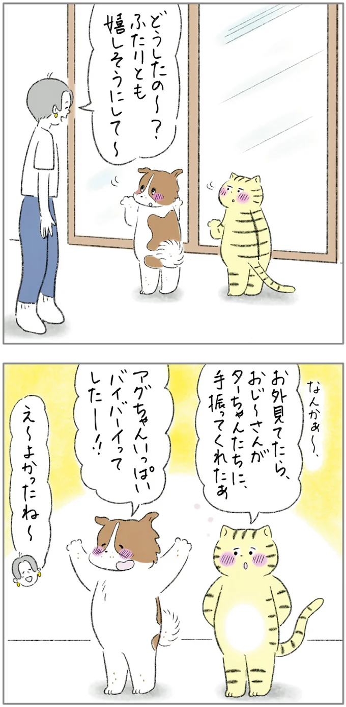 『ターとアグのしあわせ日和 元ノラ猫と元保護犬、ふたりは親友』 11-05.png