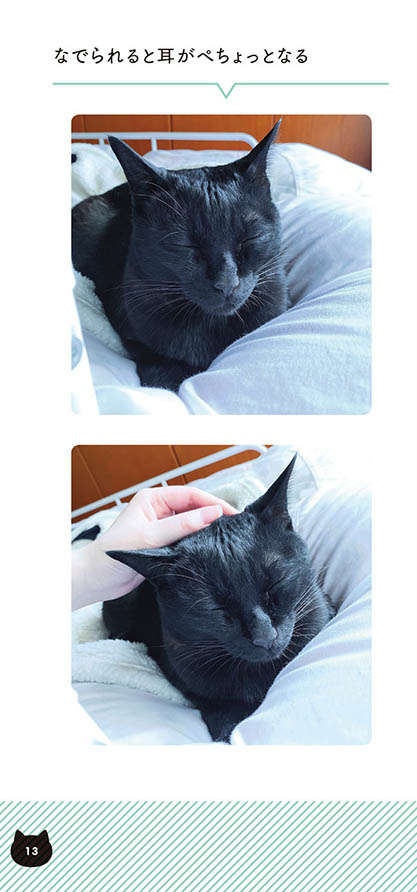 「好きにしてください...」運動不足の愛猫と追いかけっこするも5秒後に...／黒猫ろんと暮らしたら2 13.jpg