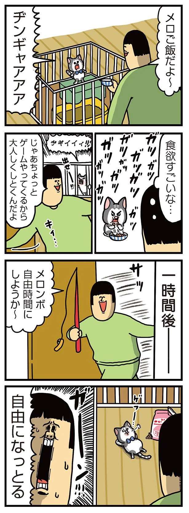 ガーン！ ゲージから脱走する仔猫。監視してみたら...えええ／まめきちまめこニートの日常 3 mameko21_3.jpeg