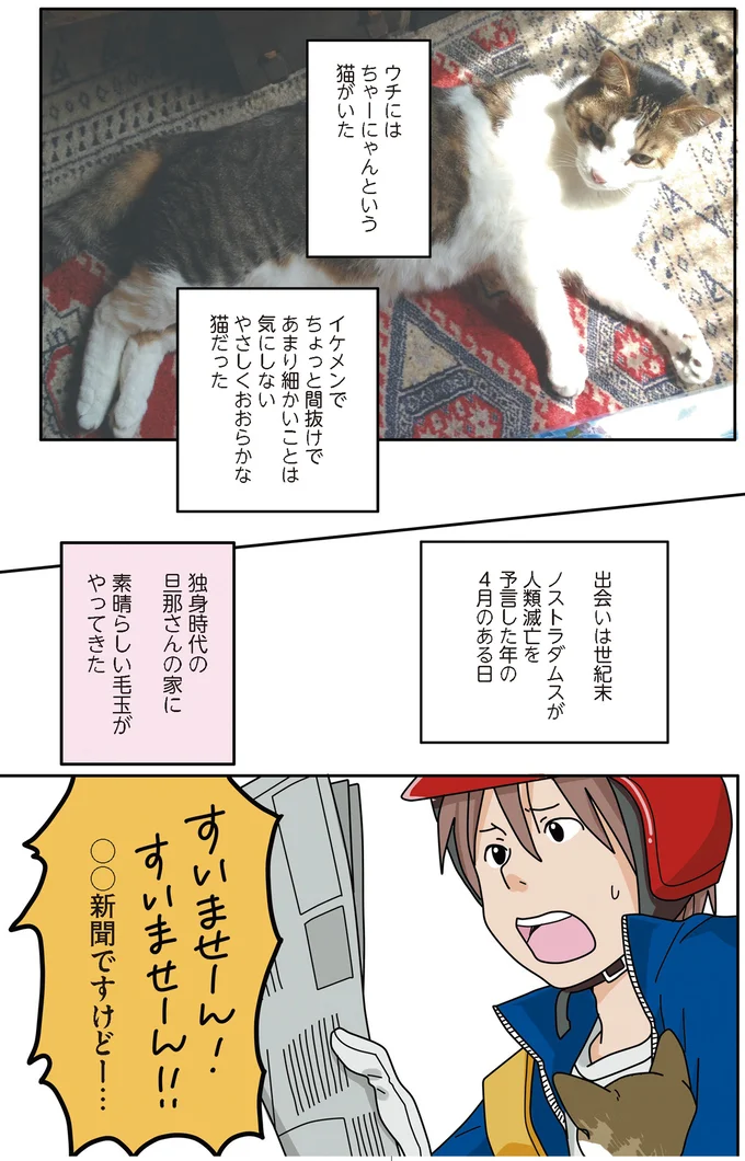 新聞配達員から届けられた小さな命。「今日からウチの猫だぞ」／世界一幸せな飼い主にしてくれた猫 01-01.png