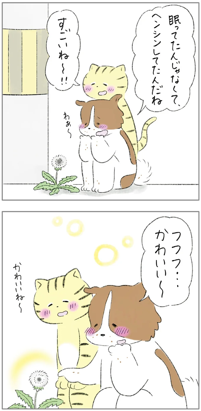 『ターとアグのしあわせ日和 元ノラ猫と元保護犬、ふたりは親友』 02-07.png