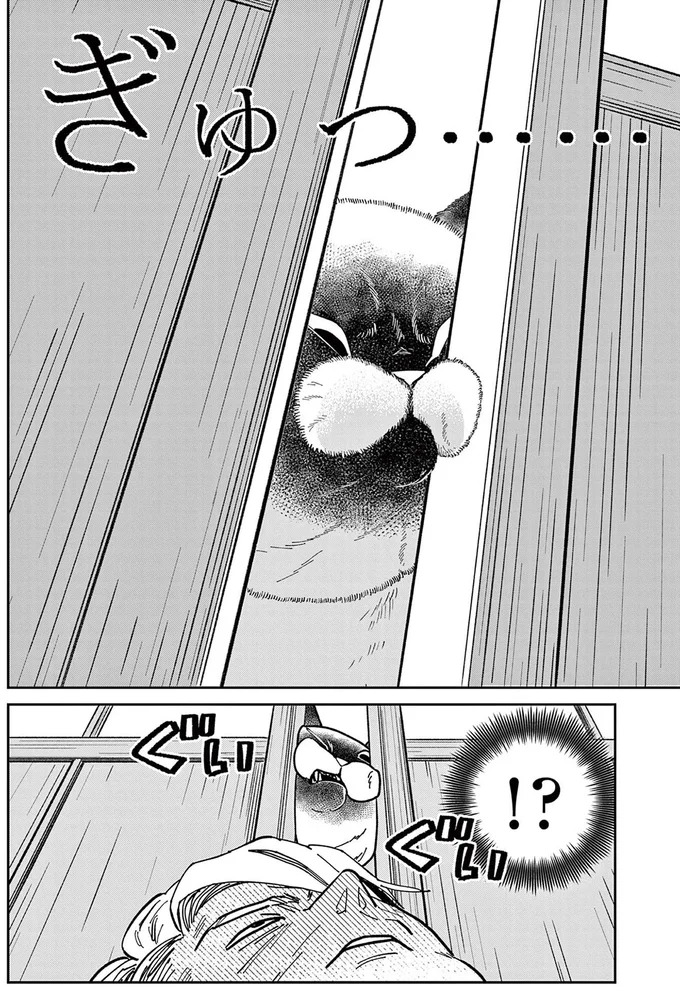 夏風邪でダウン。目が覚めると布団の上に猫が...え!?／オヤジとにゃん吉 16223642.webp