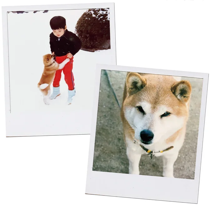 『ターとアグのしあわせ日和 元ノラ猫と元保護犬、ふたりは親友』 06-13.png