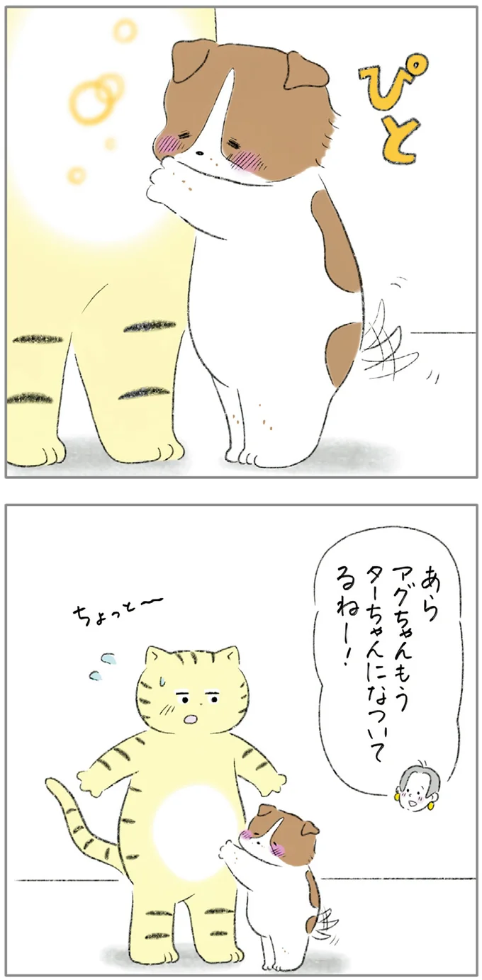 『ターとアグのしあわせ日和 元ノラ猫と元保護犬、ふたりは親友』 08-04.png