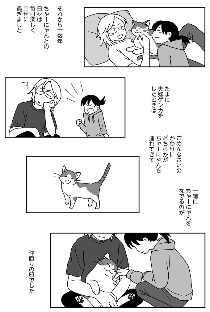 夫婦の縁をつないでくれた保護猫。マリッジブルーも癒してくれて...／世界一幸せな飼い主にしてくれた猫 03-05.png