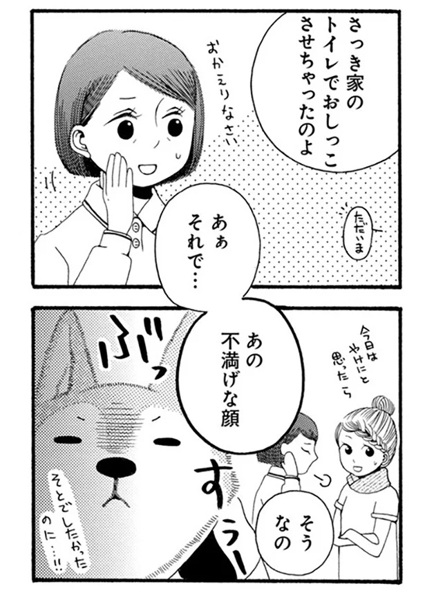 雨で散歩に行けないことを察した犬。その表情を見てみると.../96歳の柴犬ハチさんは、今日もお散歩しています。 61.webp