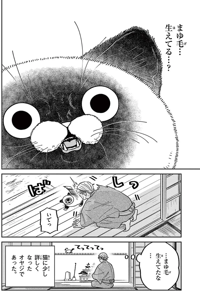 自分の家のようにくつろぐ野良猫。無防備な姿をよく観察すると...／オヤジとにゃん吉 16211540.webp