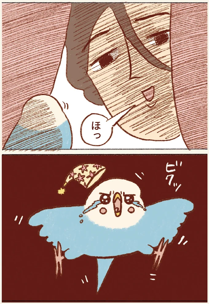 『プジェ日記！ 幸せを運ぶインコのみっちゃん』 123.webp