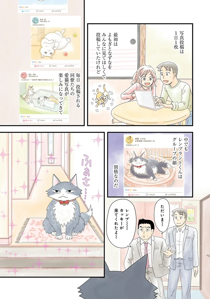 「猫になついてもらう方法」を学んだ男性。その方法は...婚活女子？／飼い猫がなつきません 04-03.png