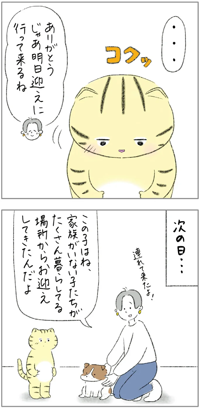 『ターとアグのしあわせ日和 元ノラ猫と元保護犬、ふたりは親友』 08-02.png