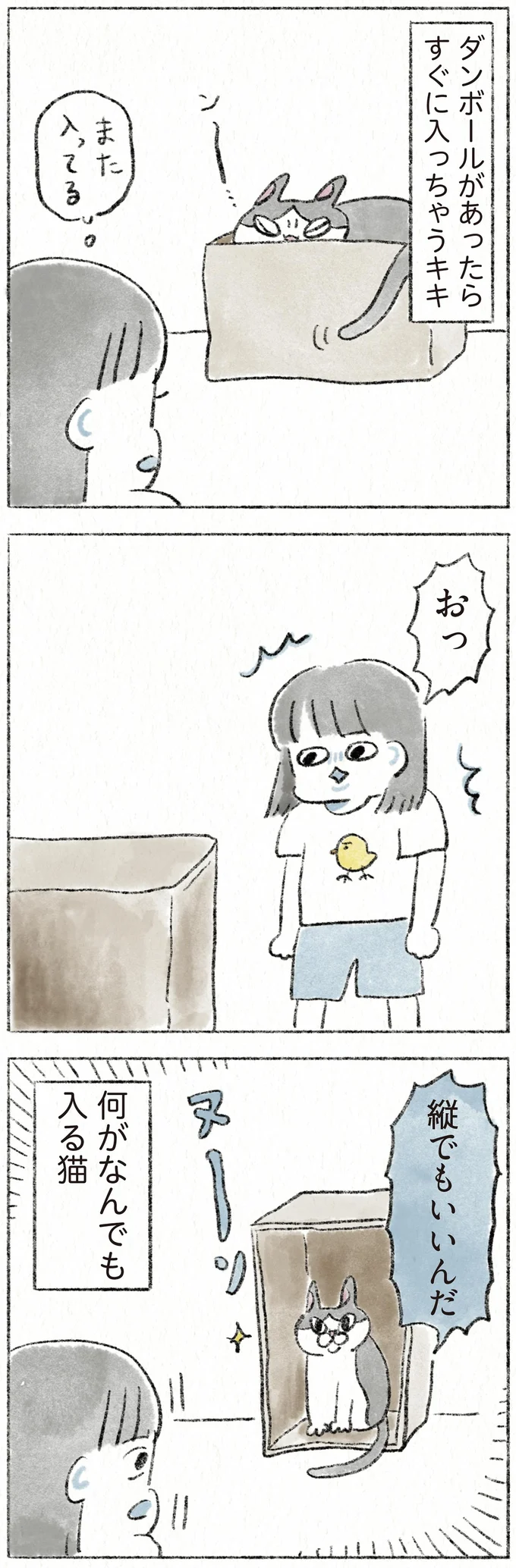 『うちの猫は今日も塩対応』 41.webp
