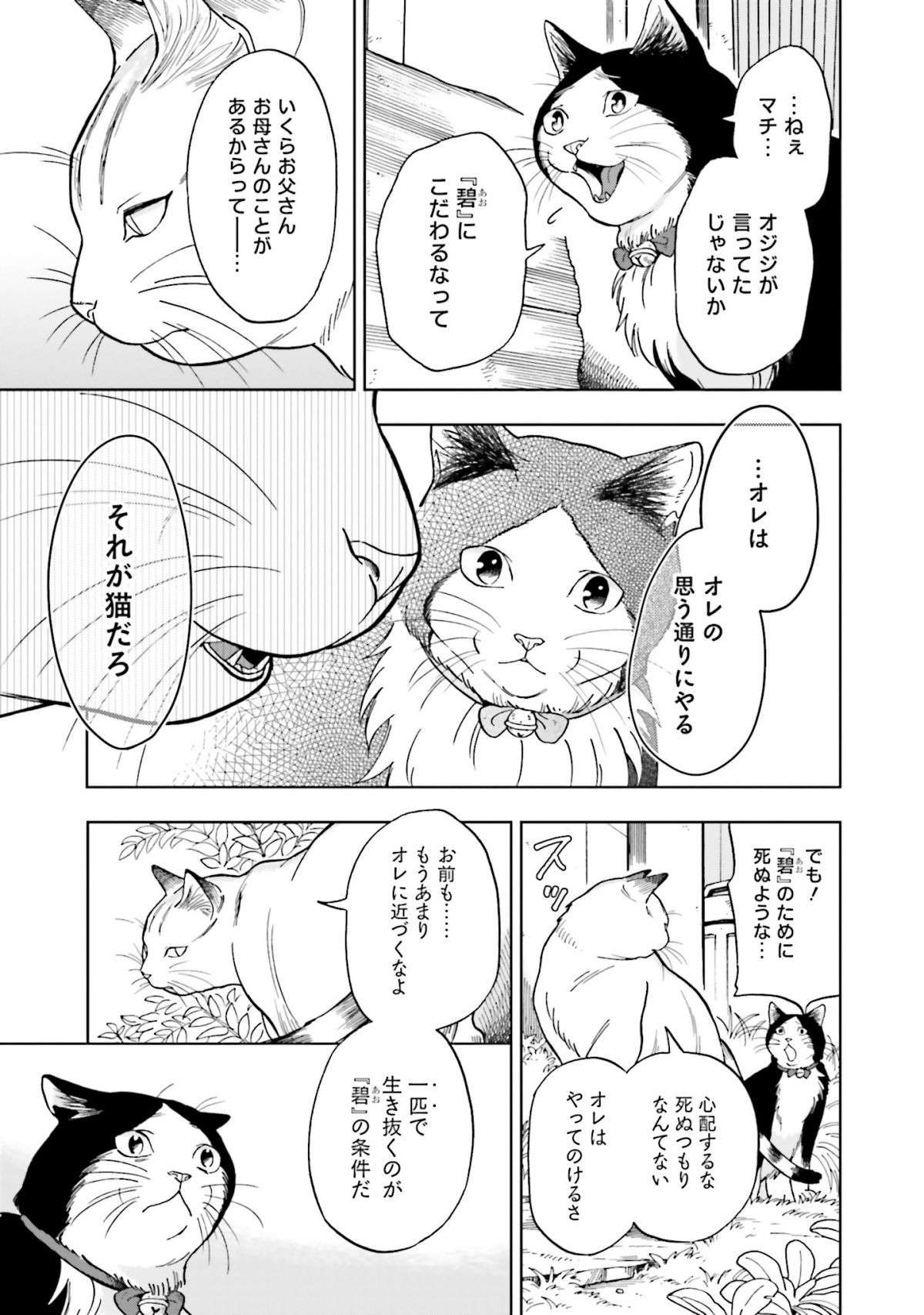 冬のノラ猫。リーダーは人間と関わらずに生きようとするが...／ゴジュッセンチの一生 3 22.jpg