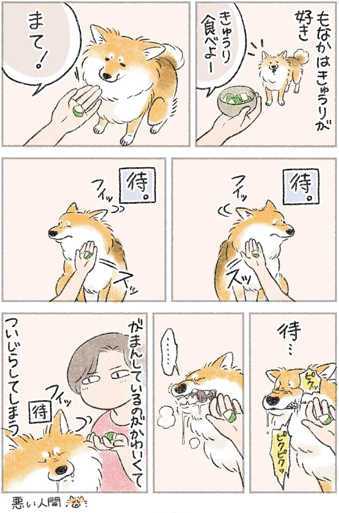 「つい...」愛犬の「この姿」がかわいすぎて、飼い主がやってしまうこと／犬を揉む 13.png