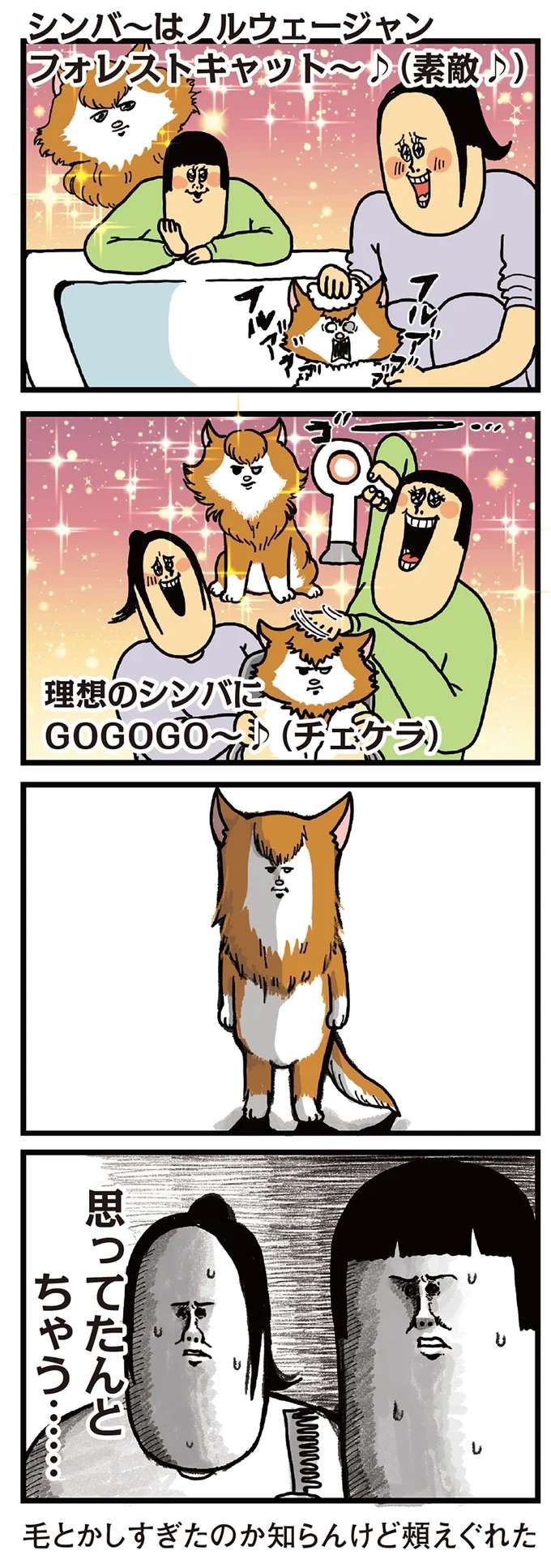 なんかごめん。保護した猫をきれいに洗ってみたら／まめきちまめこニートの日常 2 mameko19_2.jpeg