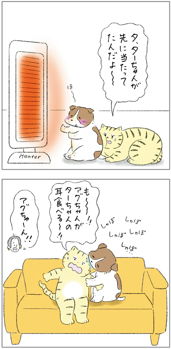 『ターとアグのしあわせ日和 元ノラ猫と元保護犬、ふたりは親友』 08-07.png