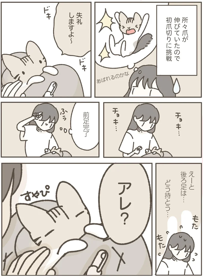 保護猫の「初めての爪切り」。あれ？ 聞いてた話と違う...／ねこのつゆちゃんのことで頭がいっぱいです 16124241.webp
