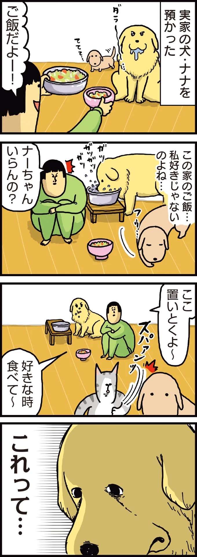 「食べていいやつですか？」愛犬たちのご飯をかけた心理戦／まめきちまめこニートの日常 1 mameko2_1.jpeg