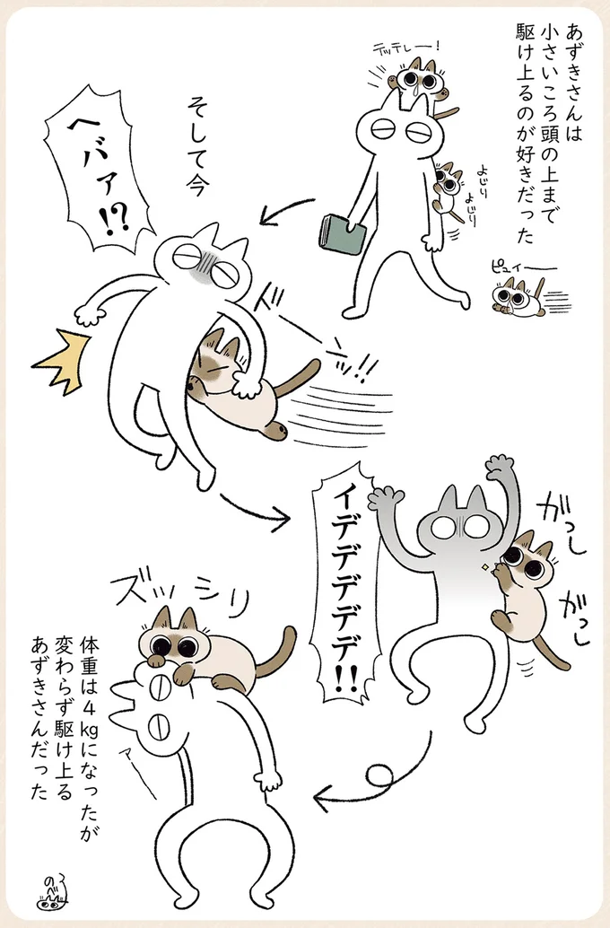 『シャム猫あずきさんは世界の中心』1〜2 14-01.png