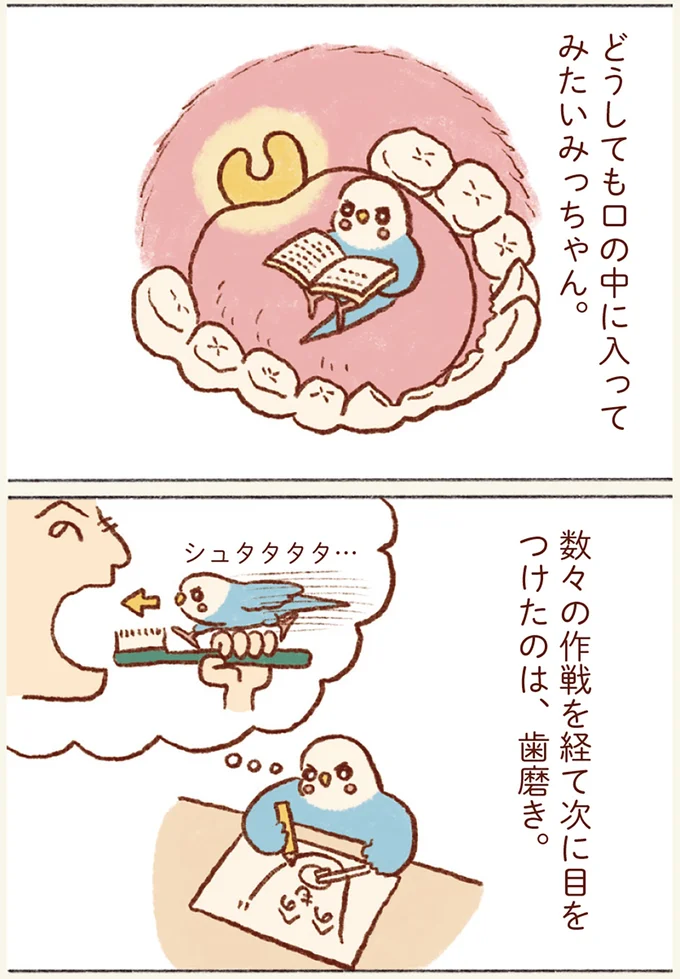 『プジェ日記！ 幸せを運ぶインコのみっちゃん』 81.webp