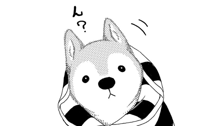 すっかりシニアになった愛犬。記憶も怪しくなってきたようだけど...／じじ柴ハチさんは、今日も生きています。