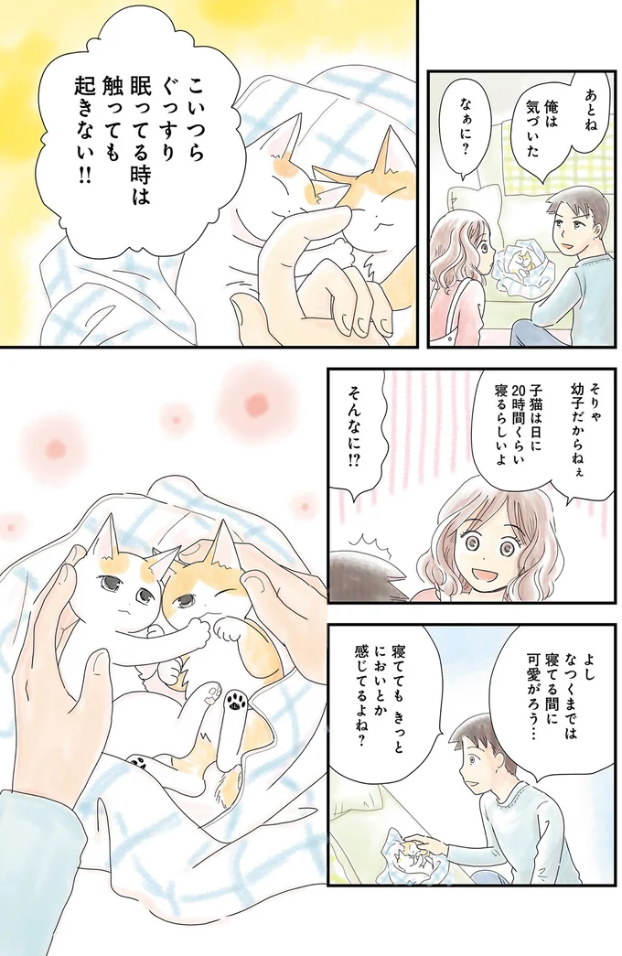 子猫たちとのラブラブ生活のため...まずは匂いに慣れてもらおう！／飼い猫がなつきません 03-05.png