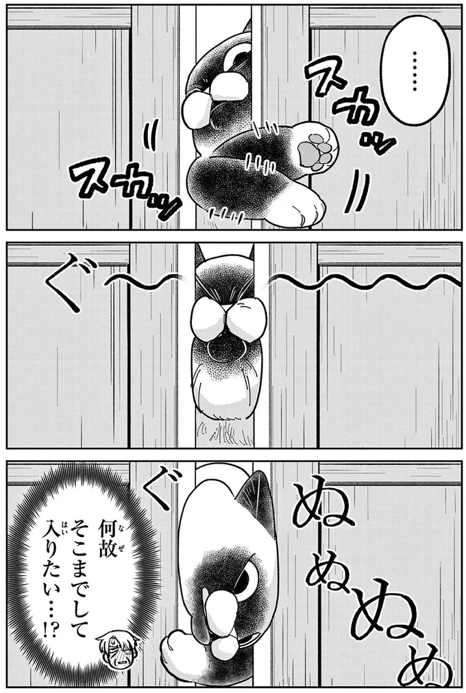 夏風邪でダウン。目が覚めると布団の上に猫が...え!?／オヤジとにゃん吉 16223643.webp